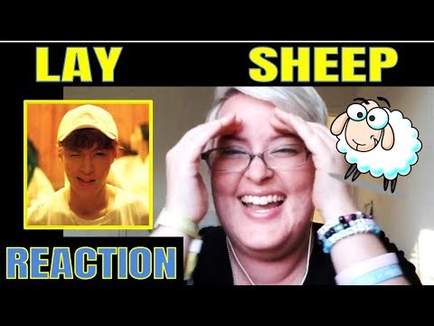 LAY Sheep MV Reaction