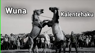 Download lagu Wuna Kalentehaku || Lagu yang hampir terlupakan || Lagu Daerah Muna mp3 Download lagu Wuna Kalentehaku || Lagu yang hampir terlupakan || Lagu Daerah Muna mp3