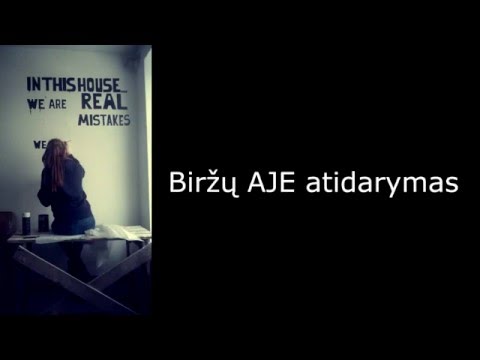 Biržų atviros jaunimo erdvės atidarymas