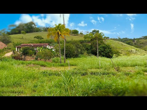 Sítio de 2 Hectares à Venda em João Alfredo - PE | Oportunidade com Água e Pasto!