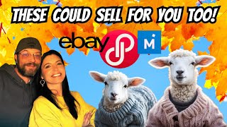PROFITING From Online Sales This Fall and Winter!