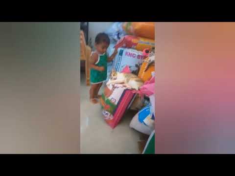 ADS family shorts ##🥰🕺Ranjithame ranjithame ## magil with lub cat.. 🐱