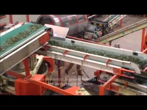 Emrok Tea Factory - Commercial Orthodox Production Line