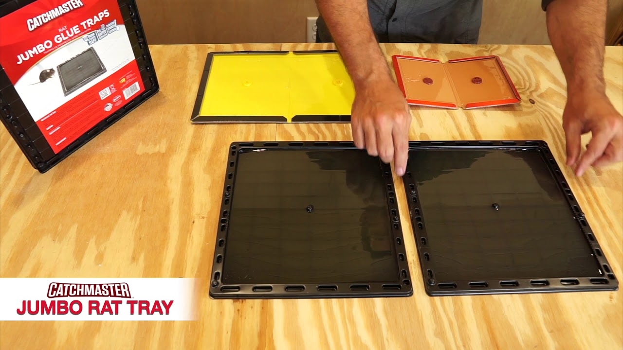 Catchmaster XL Rat Tray