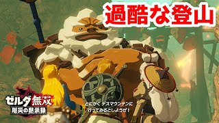 【実況】定年を迎えた父を再びハイラルの大地に放り込むPart10【ゼルダ無双 厄災の黙示録】