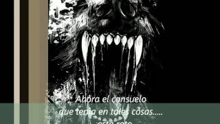 PALE FOREST taller yet smaller (subtitulada)