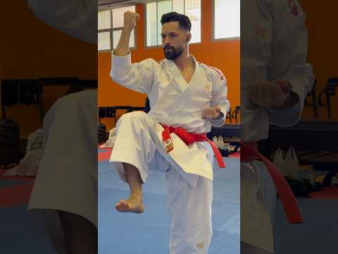 OHAN DAI KATA SLOW MOTION | STEP BY STEP