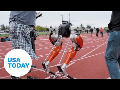 ‘Cassie’ sets world record for fastest 100 meters by a bipedal robot | USA TODAY