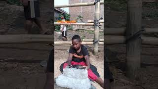 Download lagu Sam Nego e Mberot Lord.. #bantengan #putra #jabon #kalap #mberot #fyp #viral #top #manyala #papua mp3