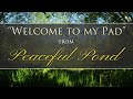 Welcome to My Pad from Peaceful Pond by Dean Evenson