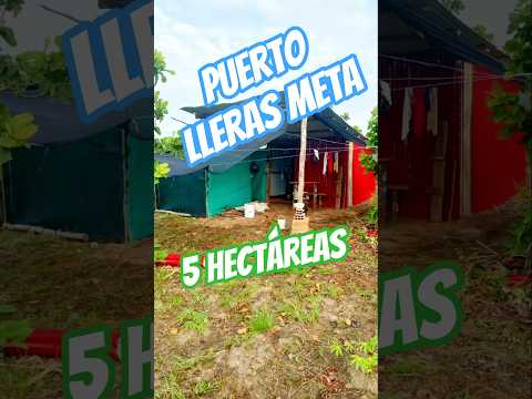 Parcela en puerto lleras meta 5 hectáreas #fincallanosariari #puertollerasmeta #ventadefinca #fincas