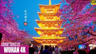 East Lake Cherry Blossom Park (东湖樱花园) night walk, WuHan, HuBei province