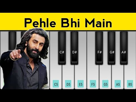 Pehle Bhi Main Piano Tutorial | Animal | Ranbir Kapoor