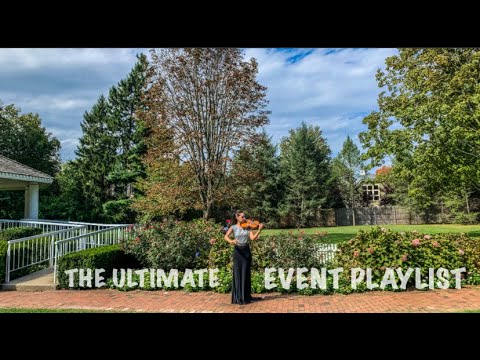 Promotional video thumbnail 29 for VSmusic4u Wedding & Event Musicians