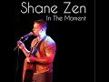 Shane Zen - "In The Moment" EP