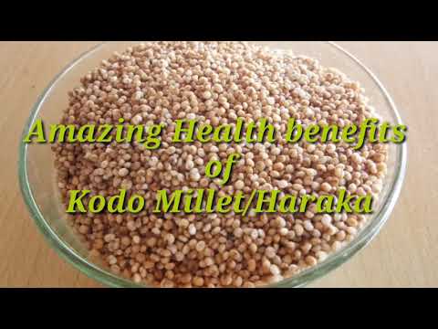 download lagu mp3 mp4 Kodo Millet Uses, download lagu Kodo Millet Uses gratis, unduh video klip Kodo Millet Uses