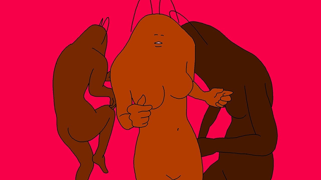 ゴキブリ体操　Cockroach Calisthenics