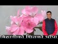 Karaoke Bihaniko Sitko Thopa Music Track Karaoke