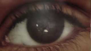 ORELHA NEGRA - Throwback VIDEO OFICIAL