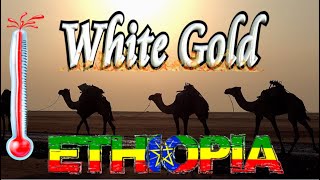 🐪 White Gold in Ethiopia🌡