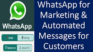 How to Send Automated Messages in WhatsApp? | WhatsApp Websender | WhatsApp for Marketing
