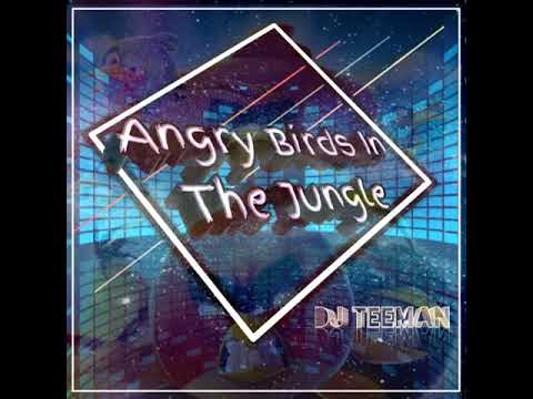DJ TEEMAN Angry Birds In the Jungle