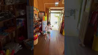 Krazy World Toy Shop! 🐊 #kids #shorts #krazyworld #zoo #shopping #algarve