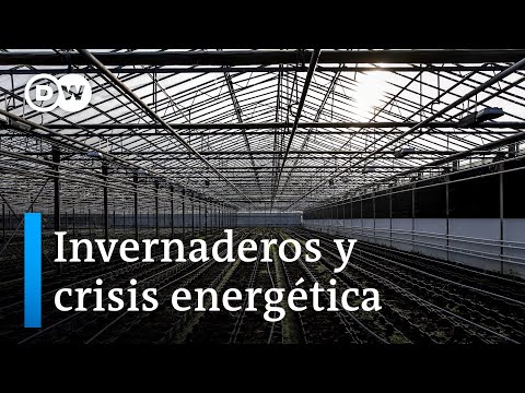 Alimentos producidos en invernadero: entre cerrar o cambiar