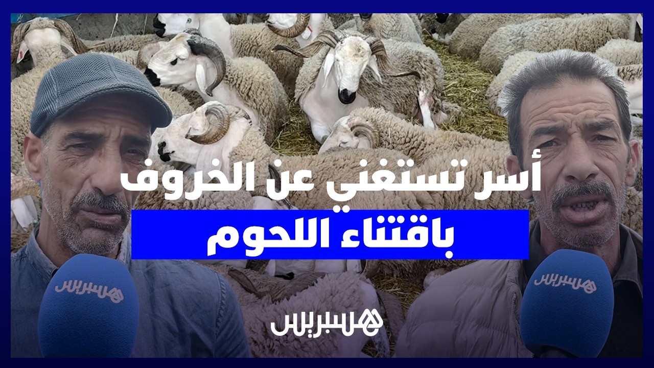 في مواجهة الغلاء المستشري في أسعار الأضاحي.. أسر تستغني عن الخروف باقتناء اللحوم قبل عيد الأضحى thumbnail