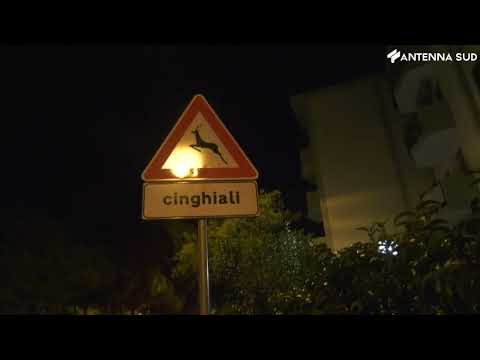 23 agosto 2022 - Bari, ferimento al San Paolo