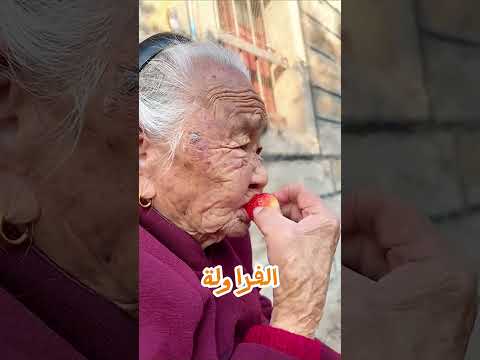 كل سنانها وقعت... لكن شوفوا كانت بتاكل إيه! 😱