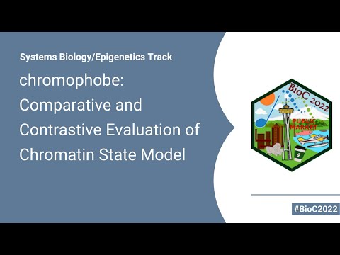 Chromophobe: A Framework For Comparative And Contrastive Evaluation Of Chromatin State Models