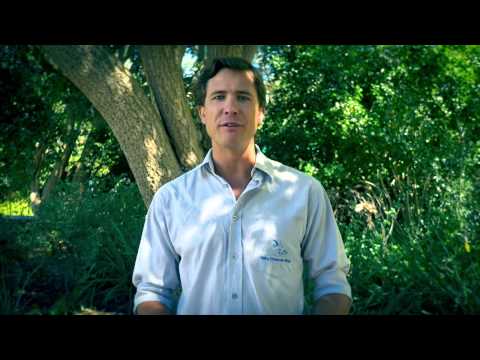 Dale Wright: 'Think about what nature did for you today'