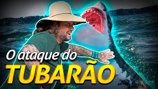 Miniatura do vídeo