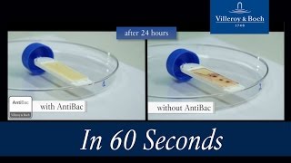 AntiBac: beschermt duurzaam tegen bacteriën.