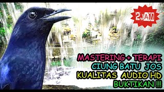 Download lagu Ciung Batu Gacor Audio - Suara Ciung Batu Gacor Paling Dicari mp3 Download lagu Ciung Batu Gacor Audio - Suara Ciung Batu Gacor Paling Dicari mp3