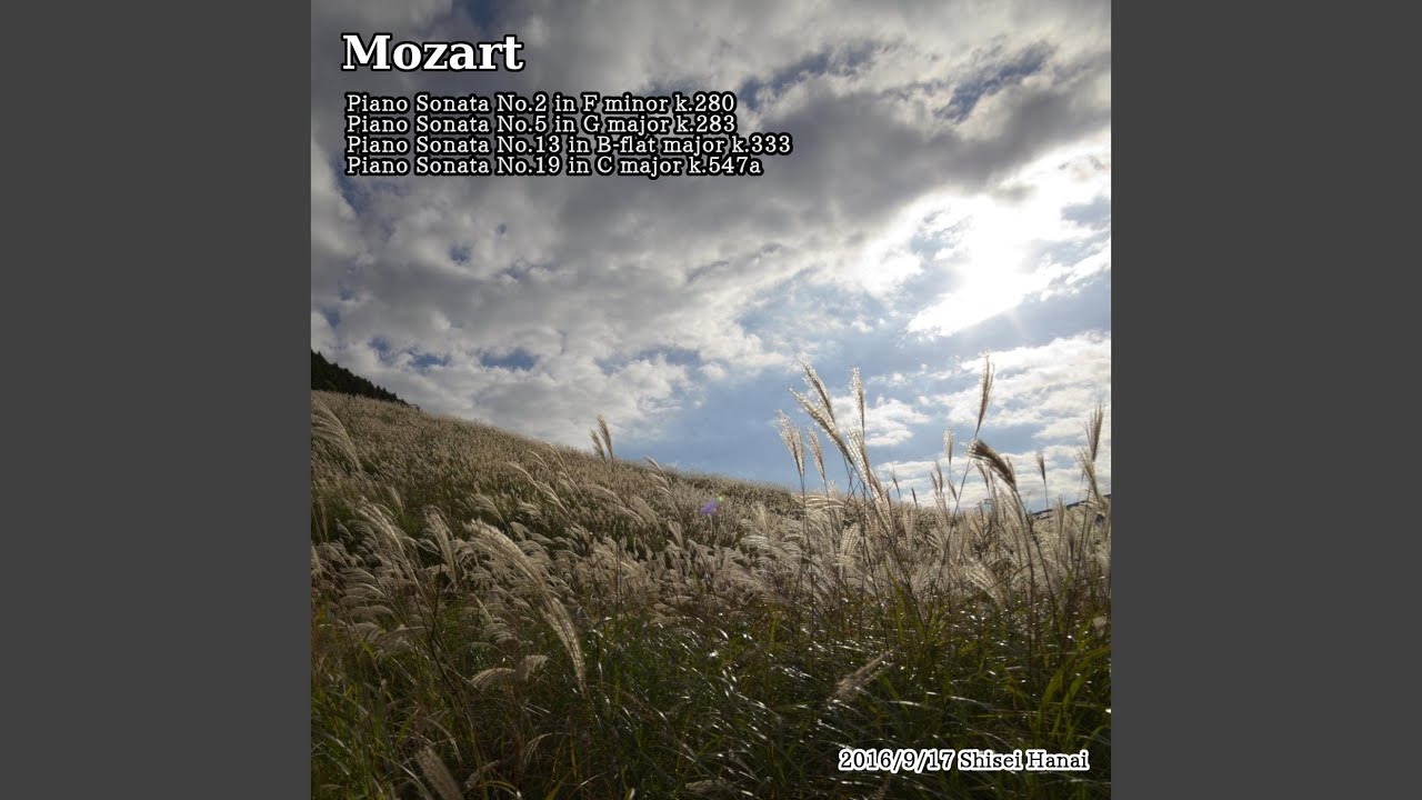 Mozart Piano Sonata No. 5 in C Major, K. 283: II. Andante