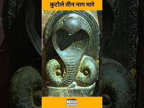 कुटोले तीन नागका बच्चा मारे — आमा फर्किएपछि जे भयो