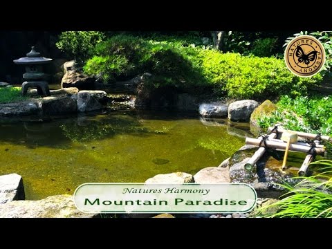 Nature´s Harmony - Nature´s Harmony : Mountain Paradise