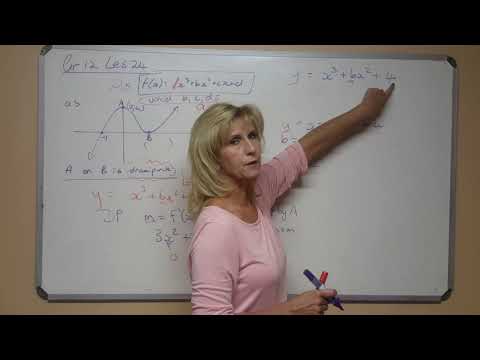 Allies Wiskunde 2020 Graad 12 - 24