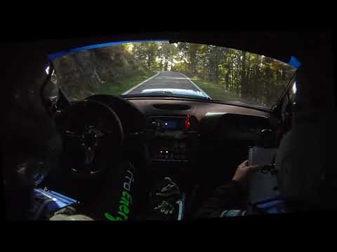 37° RALLY DUE VALLI 2019  /  Bosco  -  Rosso