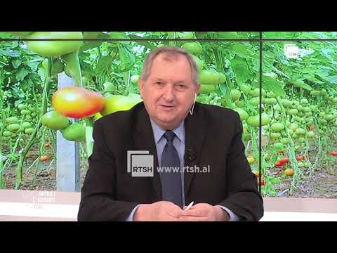 Kripëzimi i tokave dhe mbrojtja ndaj tij l "Rrënjët e ushqimit tënd" në RTSH 2