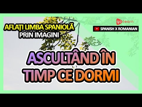 Aflați Limba Spaniolă Prin Imagini |Vocabularul Limba Spaniolă Ascultând în Timp Ce Dormi | Golearn