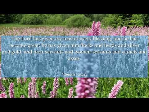 Genesis 24:35 The Lord has given my master every blessing, and he has become great: he has given him