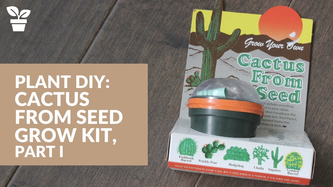 Plant DIY: Cactus From Seed Grow Kit, Part 1
