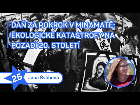 Daň za pokrok v Minamatě: Ekologické katastrofy na pozadí 20. století