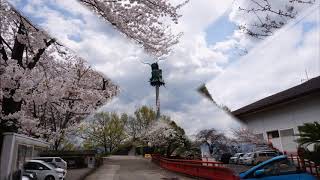 朝日山森林公園4月 2日, 2020年