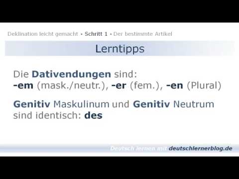Deutsch lernen  Bestimmter Artikel   Deklination 01