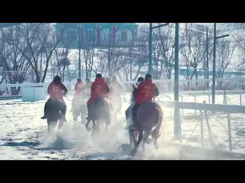 Të shtunën filloi gara me kuaj në qytetin Bole të Xinjiang-ut.