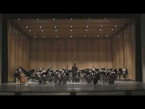 The Wild One! by Brian Balmages